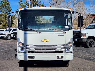 2024 Chevrolet LCF 4500 Regular Cab RWD, Cab Chassis for sale #24T332 - photo 1