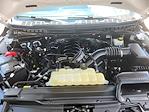 2023 Ford F-150 SuperCrew Cab 4WD Pickup for sale #P9874 - photo 24