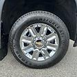 2024 Chevrolet Silverado 3500 Crew Cab 4x4 Pickup for sale #CAP250556 - photo 19