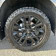 2023 Chevrolet Silverado 1500 Crew Cab 4x4 Pickup for sale #CAP250578 - photo 20