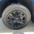 2022 Chevrolet Silverado 1500 Crew Cab 4x4 Pickup for sale #CAP250705 - photo 21