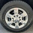 2019 Chevrolet Silverado 2500 Crew Cab SRW 4x4 Pickup for sale #CAP250799 - photo 23