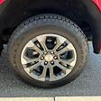 2024 Chevrolet Silverado 1500 Crew Cab 4x4 Pickup for sale #CAP250820 - photo 20