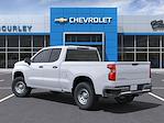 2025 Chevrolet Silverado 1500 Double Cab 4x4 Pickup for sale #CHS593 - photo 4
