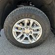 2023 Chevrolet Silverado 1500 Crew Cab 4x4 Pickup for sale #CRX250647 - photo 19