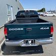 Used 1999 Dodge Dakota SLT 4x4 Pickup for sale #CTT230655 - photo 5