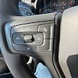2024 Chevrolet Silverado 1500 Regular Cab 4WD Pickup for sale #FAP251243 - photo 14