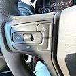 2024 Chevrolet Silverado 1500 Regular Cab 4x4 Pickup for sale #FAP251243 - photo 14