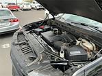 2019 Chevrolet Silverado 1500 Crew Cab 4WD Pickup for sale #C120409P - photo 15