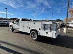 2025 Chevrolet Silverado 3500 Regular Cab 4x4, Royal Truck Body Service Combo Body for sale #C138111A - photo 2