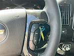 2025 Chevrolet Express 2500 RWD Passenger Van for sale #C198937 - photo 20