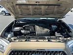 2019 Toyota Tacoma Double Cab 4x4 Pickup for sale #C234613P - photo 17