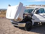 2024 Chevrolet Silverado 5500 Crew Cab DRW 4x2, Harbor Standard Contractor Body Contractor Truck for sale #C339983 - photo 32