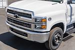 2024 Chevrolet Silverado 5500 Regular Cab DRW 4x2, Harbor Standard Contractor Body Contractor Truck for sale #C561942 - photo 18