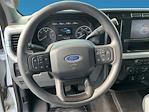2023 Ford F-250 Crew Cab RWD Pickup for sale #CTC52295 - photo 10