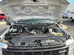 2023 Ford F-250 Crew Cab RWD Pickup for sale #CTC52295 - photo 15