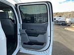 2023 Ford F-250 Crew Cab RWD Pickup for sale #CTC52295 - photo 22