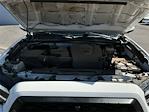 2021 Toyota Tacoma Double Cab 4WD Pickup for sale #N445309T - photo 17