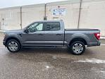 2021 Ford F-150 SuperCrew Cab 4WD Pickup for sale #29704A - photo 3