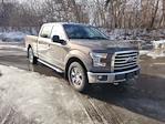 Used 2016 Ford F-150 XLT SuperCrew Cab for sale #29716B - photo 3
