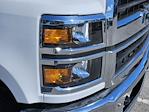 New 2023 Chevrolet Silverado 6500 Regular Cab American Commercial Body Company, Inc. Box Truck with Liftgate for sale #C06525 - photo 9