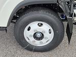 2025 Chevrolet LCF 3500HG Regular Cab RWD Cab Chassis for sale #C08871 - photo 16