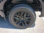2024 Chevrolet Silverado 1500 Crew Cab RWD Pickup for sale #C09593A - photo 22