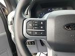 2025 Ford F-150 SuperCrew Cab 4x4 Pickup for sale #C09872A - photo 19