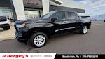2022 Chevrolet Silverado 1500 Crew Cab 4WD Pickup for sale #BSU4193 - photo 5
