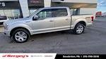 2019 Ford F-150 SuperCrew Cab 4WD Pickup for sale #BSU4375 - photo 4
