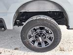 2024 Ford F-350 Crew Cab SRW 4WD Plow Truck for sale #32341A - photo 32