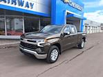 2023 Chevrolet Silverado 1500 Double Cab 4WD Pickup for sale #7261P - photo 6