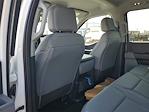2025 Ford F-350 Crew Cab DRW 4x4 Cab Chassis for sale #48067 - photo 9