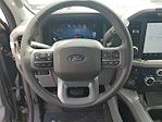 2024 Ford F-150 SuperCrew Cab 4x4 Pickup for sale #48227 - photo 19
