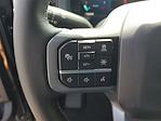 2024 Ford F-150 SuperCrew Cab 4x4 Pickup for sale #48269 - photo 19