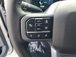 2024 Ford F-150 SuperCrew Cab 4x4 Pickup for sale #48274 - photo 19