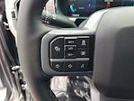 2025 Ford F-150 SuperCrew Cab 4x4 Pickup for sale #48335 - photo 19