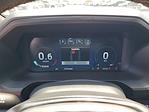 2024 Ford Expedition 4x2 SUV for sale #48373 - photo 23