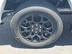 2024 Ford F-150 SuperCrew Cab 4x2 Pickup for sale #48382 - photo 5