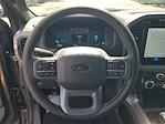 2025 Ford F-150 SuperCrew Cab 4x4 Pickup for sale #48410 - photo 18