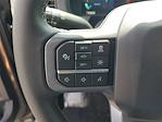 2025 Ford F-150 SuperCrew Cab 4x4 Pickup for sale #48410 - photo 19