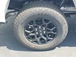 2025 Ford F-150 SuperCrew Cab 4x4 Pickup for sale #48411 - photo 5