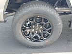 2025 Ford F-150 SuperCrew Cab 4x4 Pickup for sale #48412 - photo 5