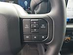 2025 Ford F-150 SuperCrew Cab 4x4 Pickup for sale #48415 - photo 20