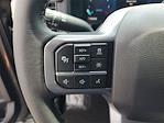 2025 Ford F-150 SuperCrew Cab 4x4 Pickup for sale #48418 - photo 19