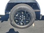 New 2025 Ford F-150 STX SuperCrew Cab for sale #48424 - photo 5