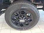 2025 Ford F-250 Crew Cab 4x4 Pickup for sale #48433 - photo 5