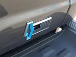 2025 Ford F-150 Lightning SuperCrew Cab AWD Pickup for sale #48476 - photo 6