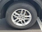 2025 Ford Explorer RWD SUV for sale #48561 - photo 5