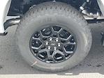 2025 Ford F-150 SuperCrew Cab 4x4 Pickup for sale #48570 - photo 5